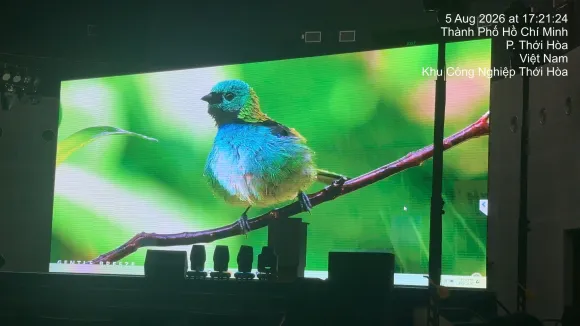 LED TUẤN ANH