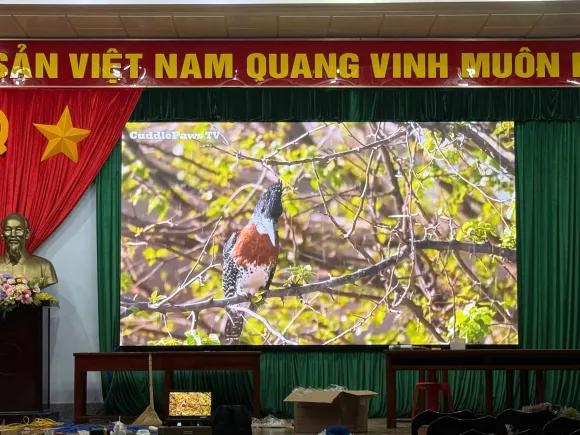 DỰ ÁN ĐÃ THI CÔNG