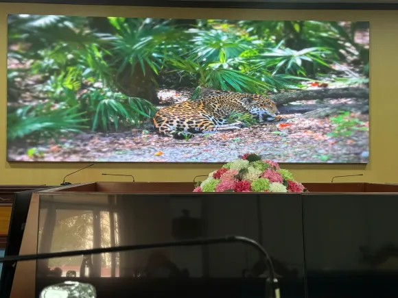 DỰ ÁN ĐÃ THI CÔNG