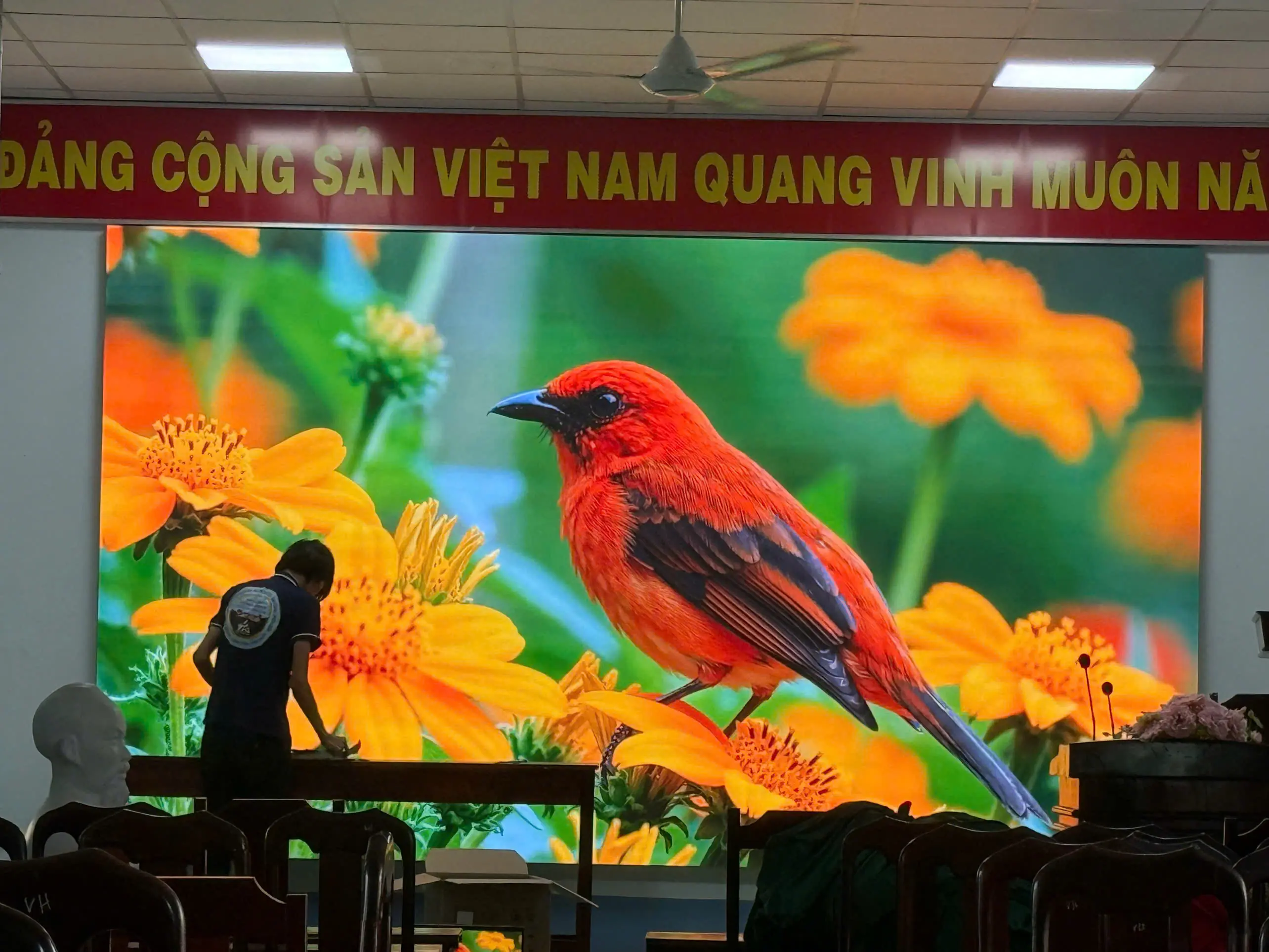 CÔNG TY TNHH LED TUẤN ANH